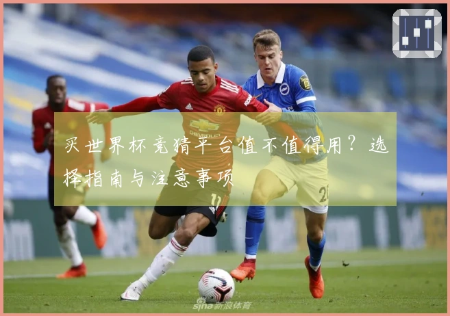 买世界杯竞猜平台值不值得用？选择指南与注意事项