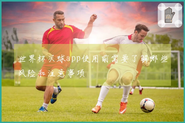 世界杯买球app使用前需要了解哪些风险和注意事项